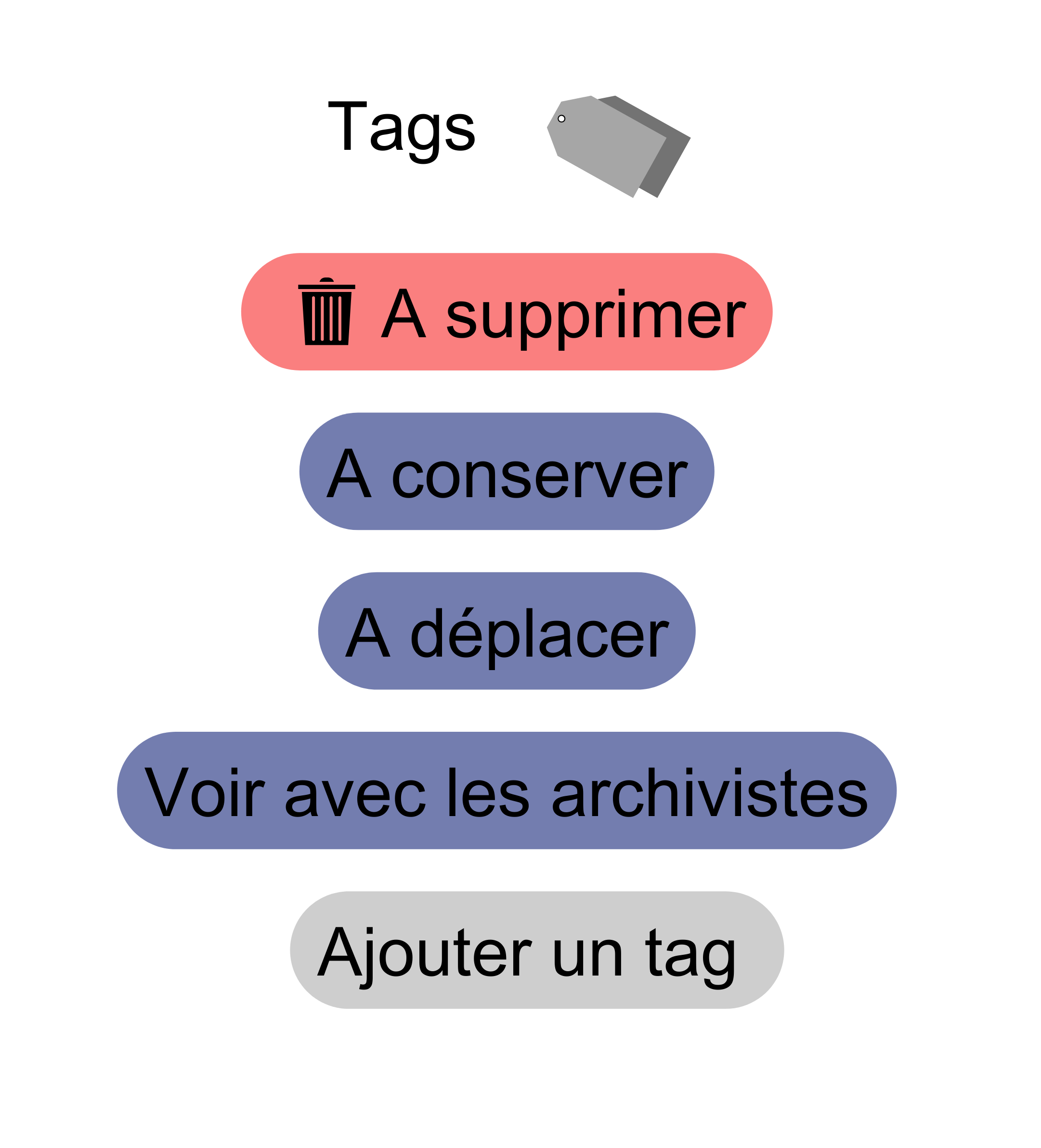 Exemples de tags d'enrichissement possible dans Archifiltre